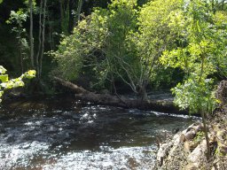 embacle n5 fin dintervention